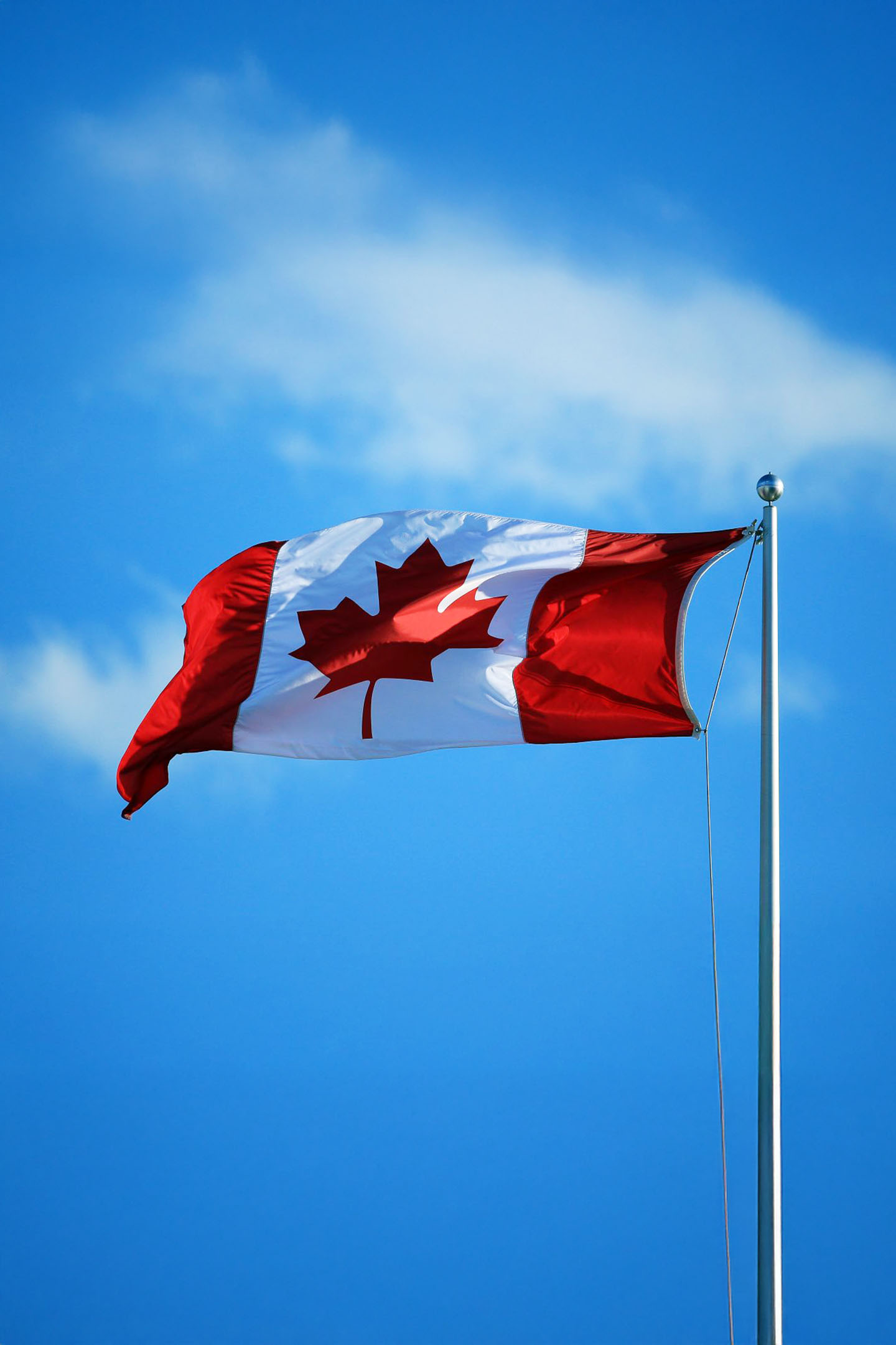Canada Vaping Market Snapshot 2026: A Guide to B2B Opportunity